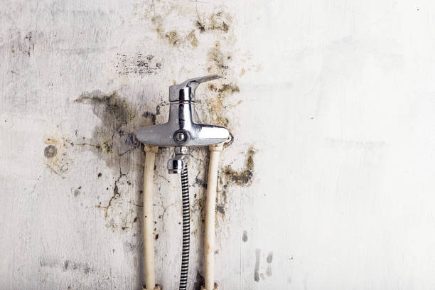 Best Water Damage Restoration  in Muleshoe, TX