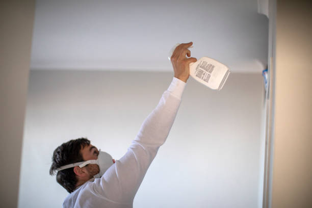 Best Mold Testing  in Muleshoe, TX